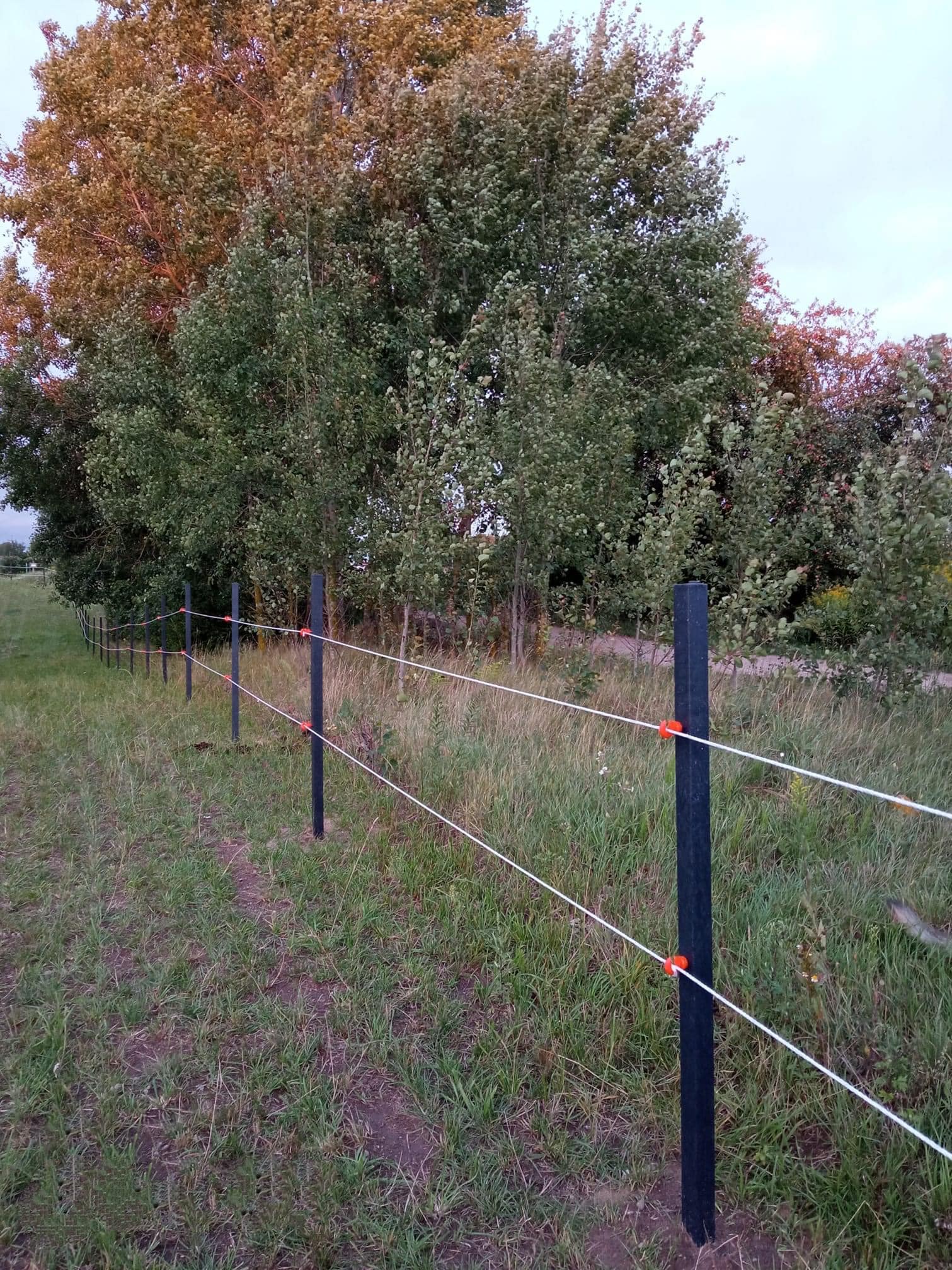 455747523_122183909792069362_4350905043774149257_n