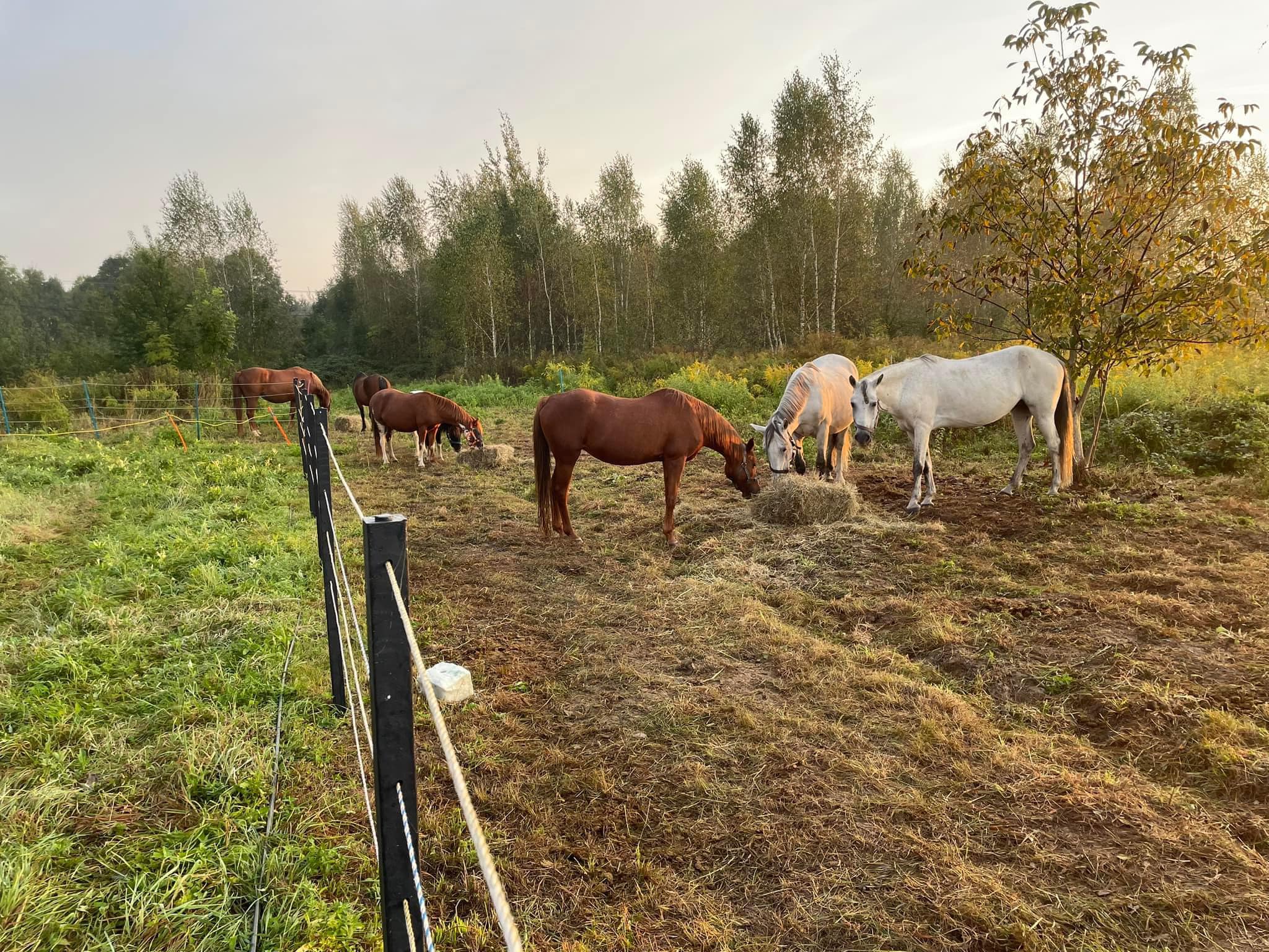 461993125_122193080264069362_6569043828036730127_n